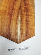 Load image into Gallery viewer, EC22A5401 Electric Guitar Cap AA Otway Blackwood