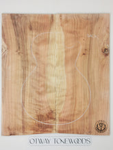 Load image into Gallery viewer, ED23A10303 Electric Guitar 2-piece drop top 10mm AAA Otway Japanese Cedar
