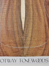 Load image into Gallery viewer, ED23A17001 Electric Guitar Drop Top AAA Otway Blackwood