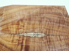 Load image into Gallery viewer, EC23AM04001 Electric Guitar Cap AAA Otway Blackwood