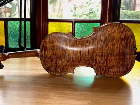 Violin Blackwood Mastergrade AAAA Otway Tonewoods