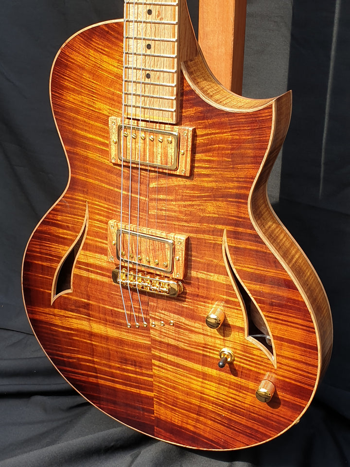 hollow body electric guitar octigan otway tonewoods blackwood