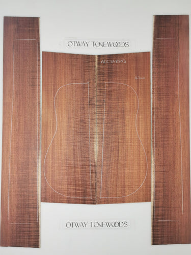 Guitar soundboard with layout lines on a white background