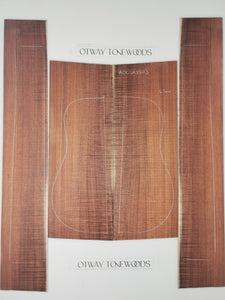 Guitar soundboard with layout lines on a white background