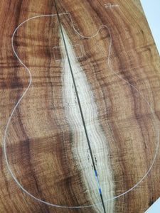 EC23A5401 Electric Guitar Cap AAA Otway Blackwood