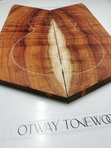 EC23A5401 Electric Guitar Cap AAA Otway Blackwood