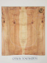 Load image into Gallery viewer, ED23A10304 Electric Guitar 2-piece drop top 10mm AAA Otway Japanese Cedar
