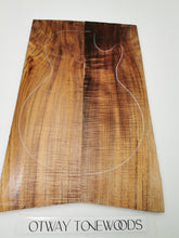 Load image into Gallery viewer, EC23A1302 Electric Guitar Solid 2-piece cap AAA Otway Blackwood
