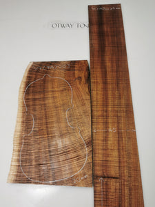 V4C4A7003 Mastergrade Violin Back & Side Set Otway Blackwood