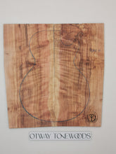 Load image into Gallery viewer, ED23A10301 Electric Guitar 2-piece drop top 10mm AAA Otway Japanese Cedar
