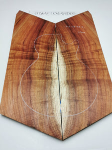 EC23A5401 Electric Guitar Cap AAA Otway Blackwood