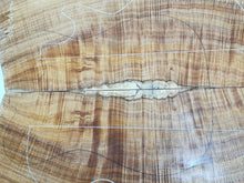 Load image into Gallery viewer, EC23AM04001 Electric Guitar Cap AAA Otway Blackwood
