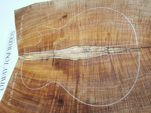 EC23AM04002 Electric Guitar Cap AAA Otway Blackwood